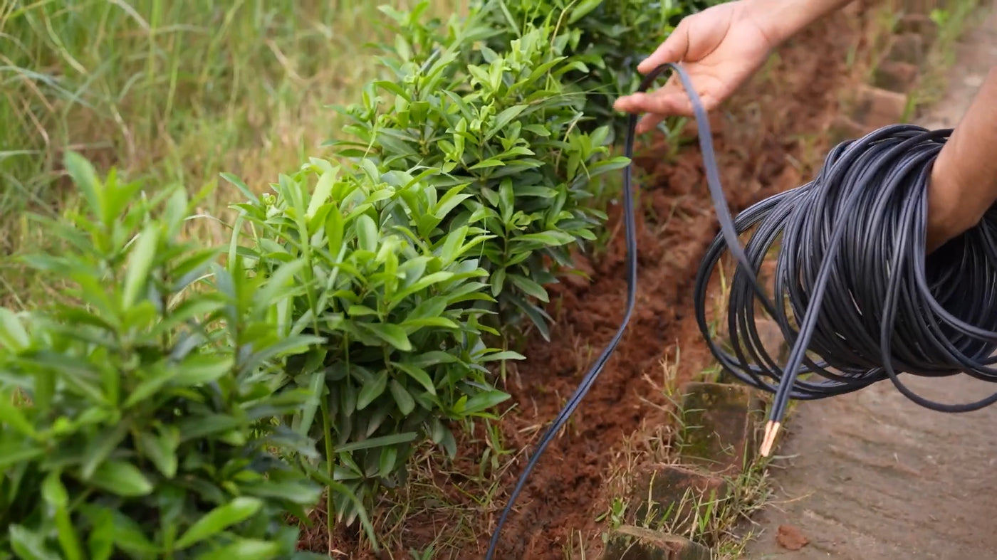 Installer unrolls a long spool beside hedges; low voltage landscape wire routes neatly in a shallow trench to walkway fixtures.