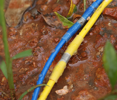 Crimp Quality Fail Example 5 Deadly Crimping Mistakes Every DIYer Makes (And How to Fix Them in 10 ...